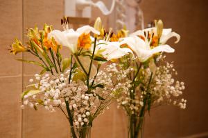 Flores Hotel Howard Jhonson Trenque Lauquen